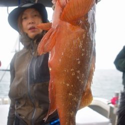 Fisherman Dreams DI 釣果