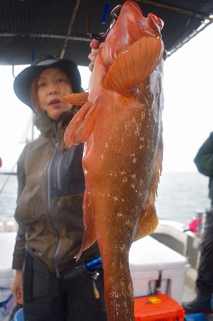 Fisherman Dreams DI 釣果