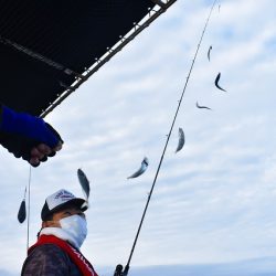 Fisherman Dreams DI 釣果