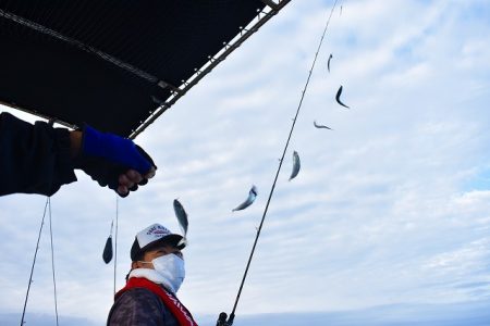 Fisherman Dreams DI 釣果