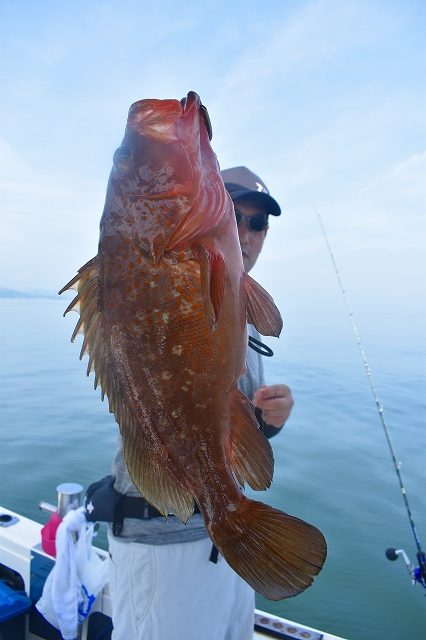 Fisherman Dreams DI 釣…