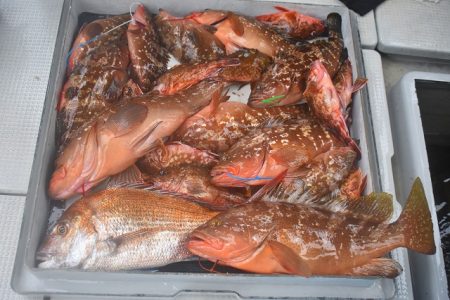 Fisherman Dreams DI 釣果