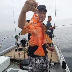 オーシャンズ 京都 釣果