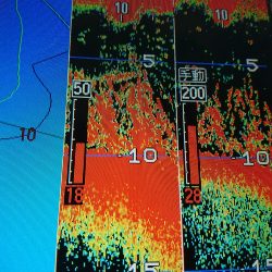 深川 吉野屋 釣果