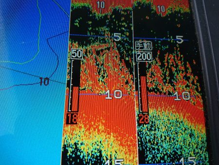 深川 吉野屋 釣果