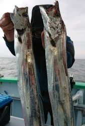 KONAYAーMARU(こなや丸) 釣果