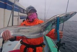 KONAYAーMARU(こなや丸) 釣果