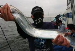 KONAYAーMARU(こなや丸) 釣果