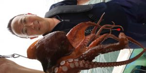 恵比寿丸(兵庫) 釣果