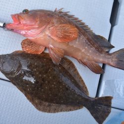 Fisherman Dreams DI 釣果