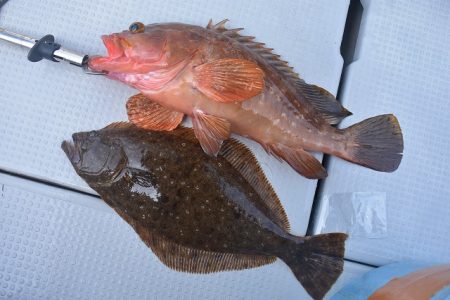 Fisherman Dreams DI 釣果