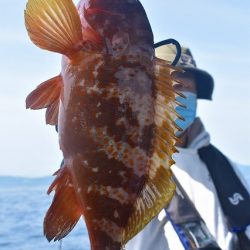 Fisherman Dreams DI 釣果