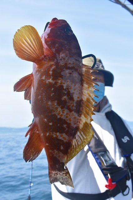 Fisherman Dreams DI 釣果