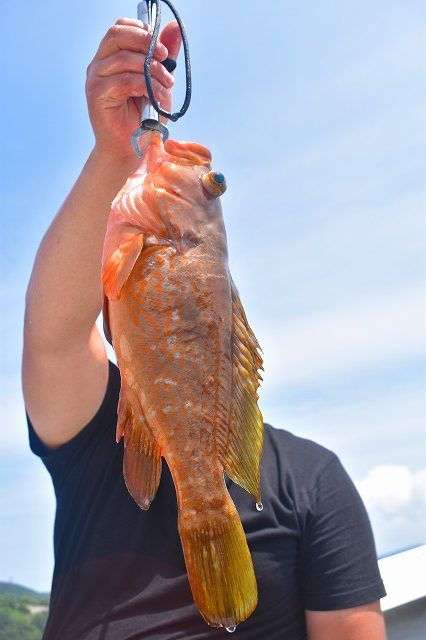 Fisherman Dreams DI 釣果