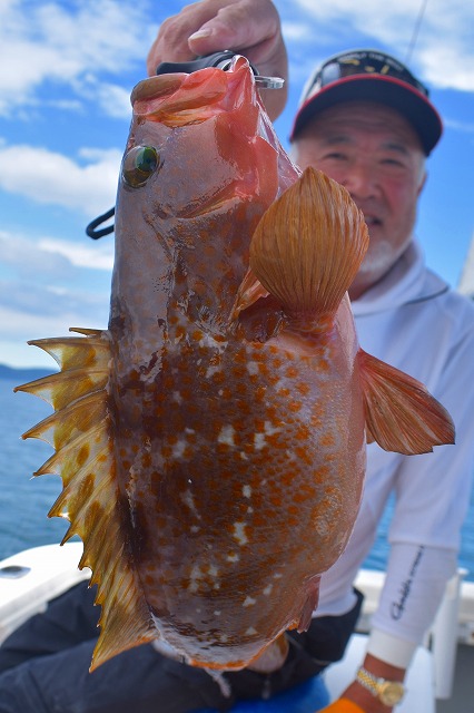 Fisherman Dreams DI 釣果