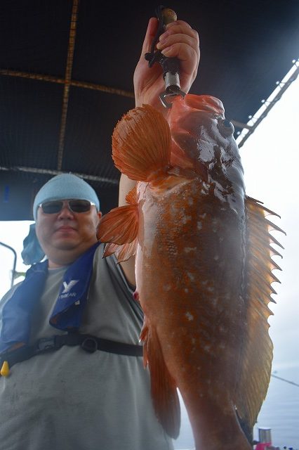 Fisherman Dreams DI 釣…