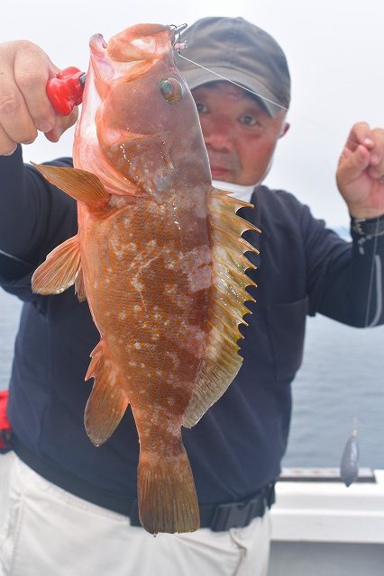 Fisherman Dreams DI 釣果