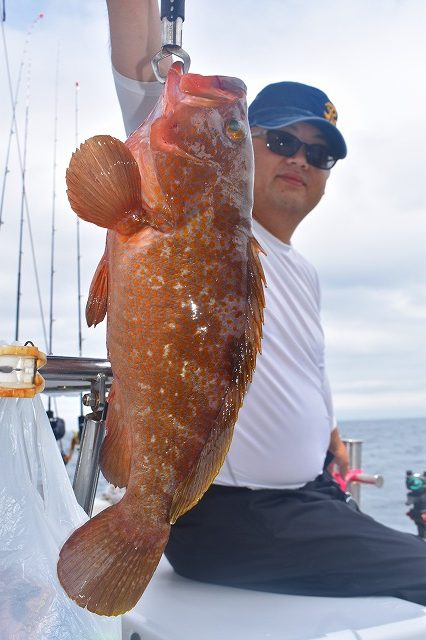 Fisherman Dreams DI 釣果