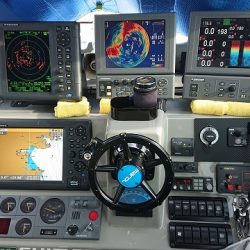 フィッシングボートACE(エース) 釣果