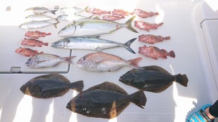 フィッシングボートACE(エース) 釣果