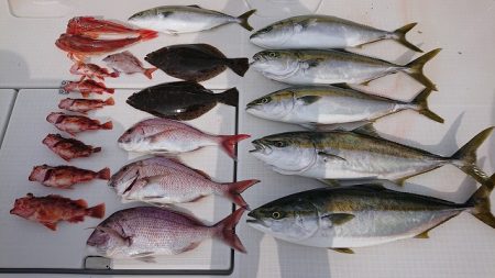 フィッシングボートACE(エース) 釣果