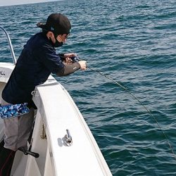 フィッシングボートACE(エース) 釣果