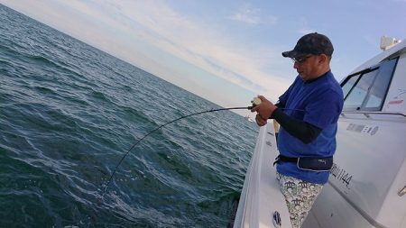 フィッシングボートACE(エース) 釣果