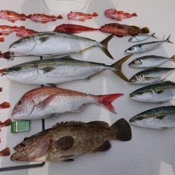 フィッシングボートACE(エース) 釣果