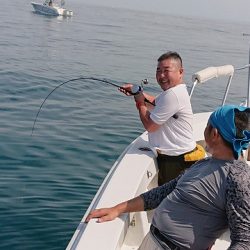 フィッシングボートACE(エース) 釣果