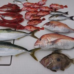 フィッシングボートACE(エース) 釣果