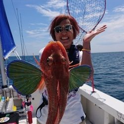 フィッシングボートACE（エース） 釣果