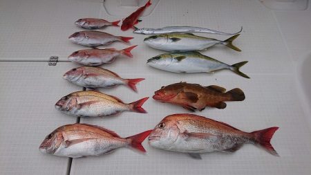 フィッシングボートACE(エース) 釣果