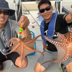 シーマジカル 釣果