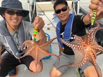 シーマジカル 釣果