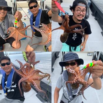 シーマジカル 釣果