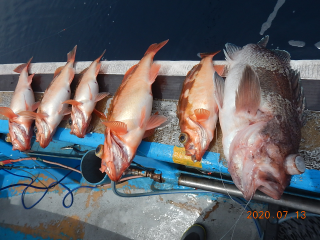 作十丸 釣果
