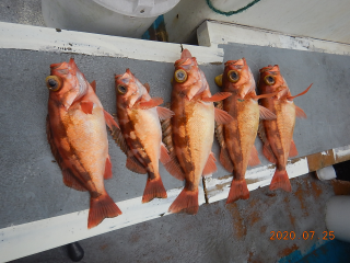 作十丸 釣果