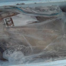 こかわ渡船　雅丸 釣果