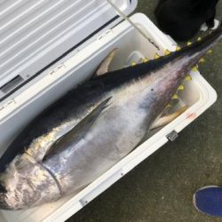 Sea Frend 片山丸 釣果