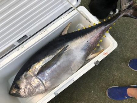 Sea Frend 片山丸 釣果