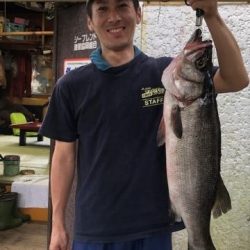 Sea Frend 片山丸 釣果