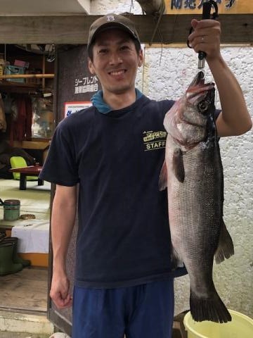 Sea Frend 片山丸 釣果