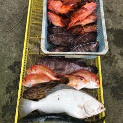 Sea Frend 片山丸 釣果