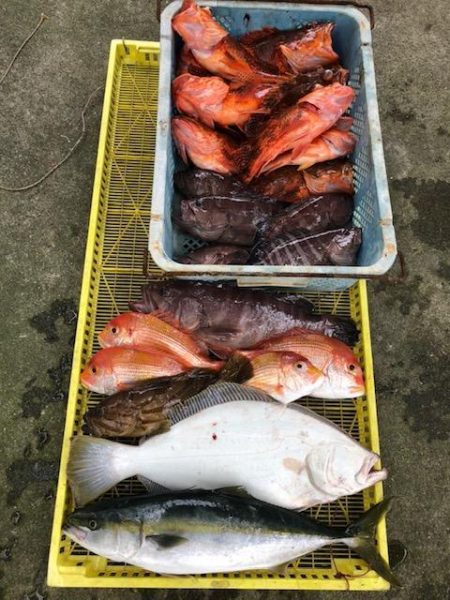 Sea Frend 片山丸 釣果