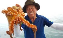 恵比寿丸(兵庫) 釣果