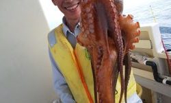 恵比寿丸(兵庫) 釣果