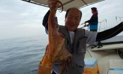 恵比寿丸(兵庫) 釣果
