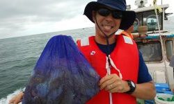 恵比寿丸（兵庫） 釣果