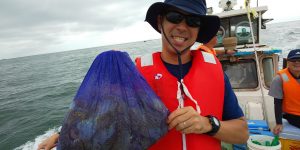 恵比寿丸（兵庫） 釣果