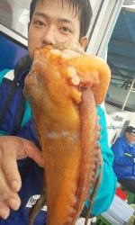 恵比寿丸（兵庫） 釣果